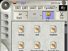 XP1