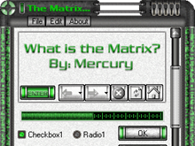 What is the Matrix