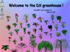 DX Greenhouse by: Max-Pixel