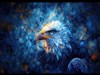 Eagle  by: Sed