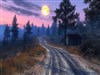 Country Moonlight