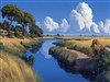 Lion Natural