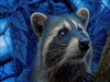 Blu Boy
