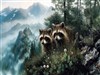Racoon Pair by: Sed