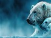 Mama Bear by: Sed