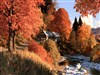 Logan Valley by: Sed