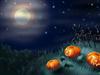 Graveyard Pumpkins_Vista by: Mark Snyder