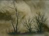 Trees by: sandpiperw