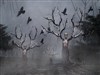 Evil Forest-Halloween by: sydneysiders