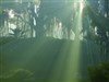 Emerald by: DEVJIT