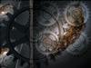 Ezekiel's Dream by: Pahau