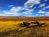 Abandoned by: ernie leo