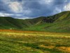 Green Valley by: ernie leo