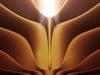 Srg123 by: Srg01