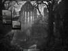 Druids Of Darkness by: Skyjax