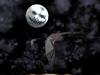 DS Scary Moon by: dj cole