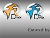 Divx by: halobend