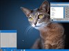 Windows 2027 by: Fuzzy Logic