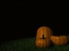 Pumpkin Spotted by: Heigar