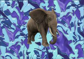 Elephant Blue