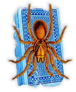 spider solitaire icon