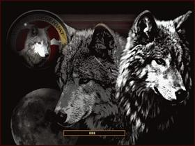Wolves Rezervat