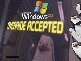 Windows XP Override Accepted boot