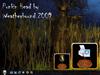 Punkin Head by: WeatherBound