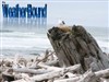 Sea by: WeatherBound