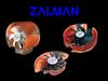 Zalman Coolers by: -zolee-