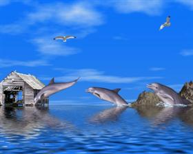 Dolphins II