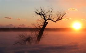 Cold Sunrise - ws