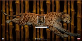 Bamboo Cheetah_vista7