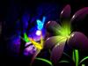 Efflorescence by: narbytrout