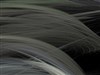 Plumage&PlumageBright by: mrs_starkers