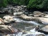 Pulled Muscle Creek by: CarGuy1