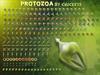 PROTOZOA by: Chuckeye