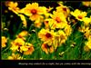 Joy Comes! by: OutdoorPictures