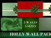 Holly Wall Pack by: willistuder