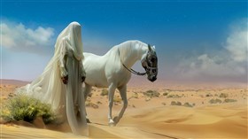 A veiled desert walk   