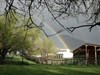 Under the rainbow by: cyberclydes