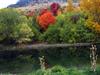 Fall on the Wasatch by: jeff clydesdale