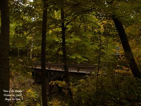 View of the Bridge