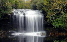 Forest Waterfall