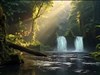Secluded Twin Forest Falls