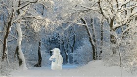 Snowy_Enchanted_Forest