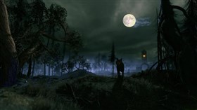 Night Wolf Moon 