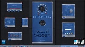 Reaktor Multi Widget