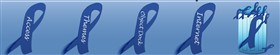 Colon Cancer Awareness