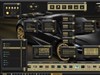 Black and Gold by: Picco14